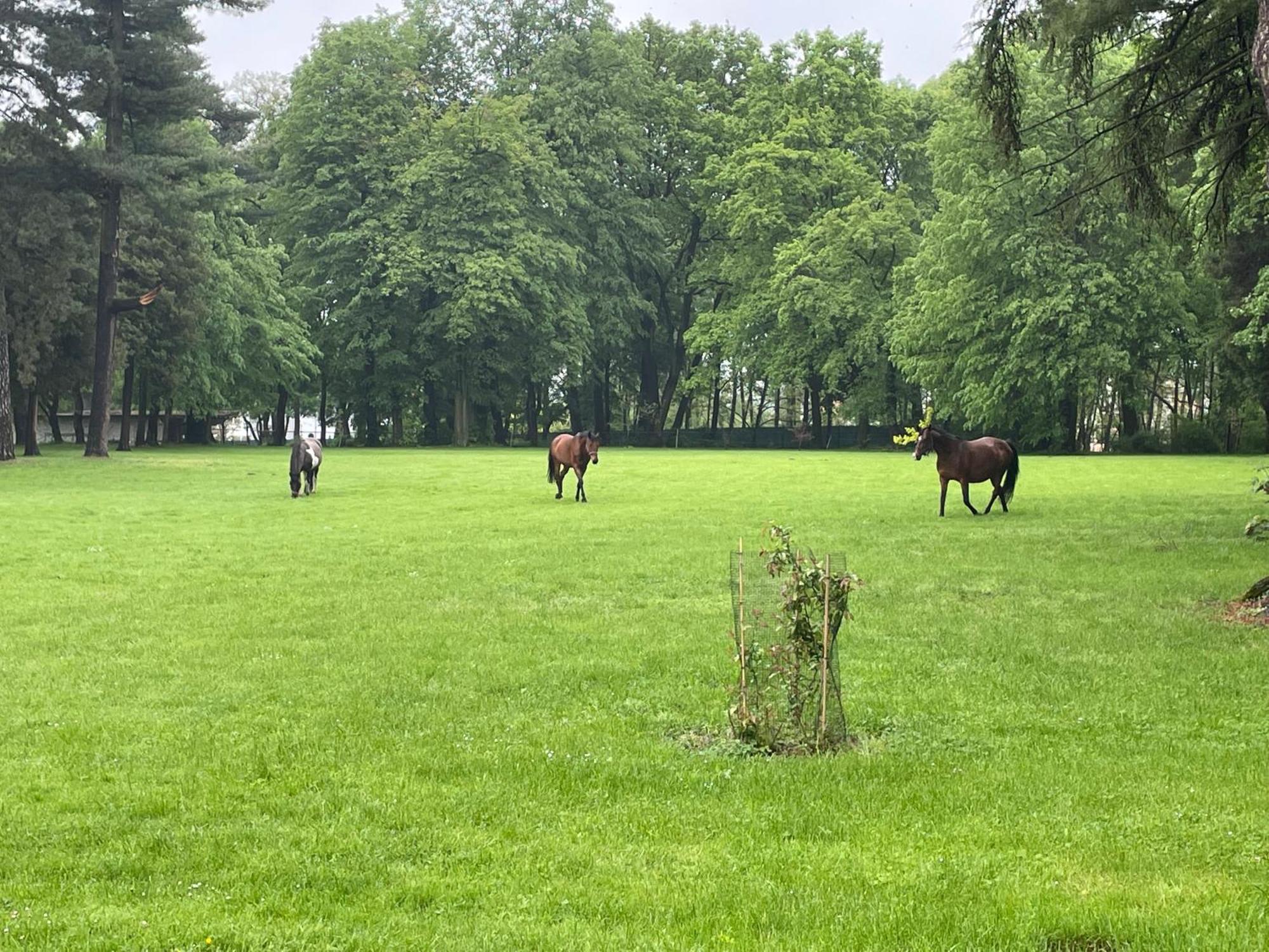 Palac Zbylitowskich Zbylitowska Gora Dış mekan fotoğraf